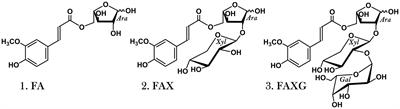 2D-HSQC-NMR-Based Screening of Feruloylated Side-Chains of Cereal Grain Arabinoxylans